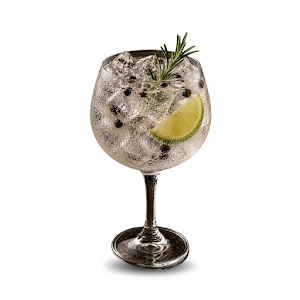 Gin Tonic